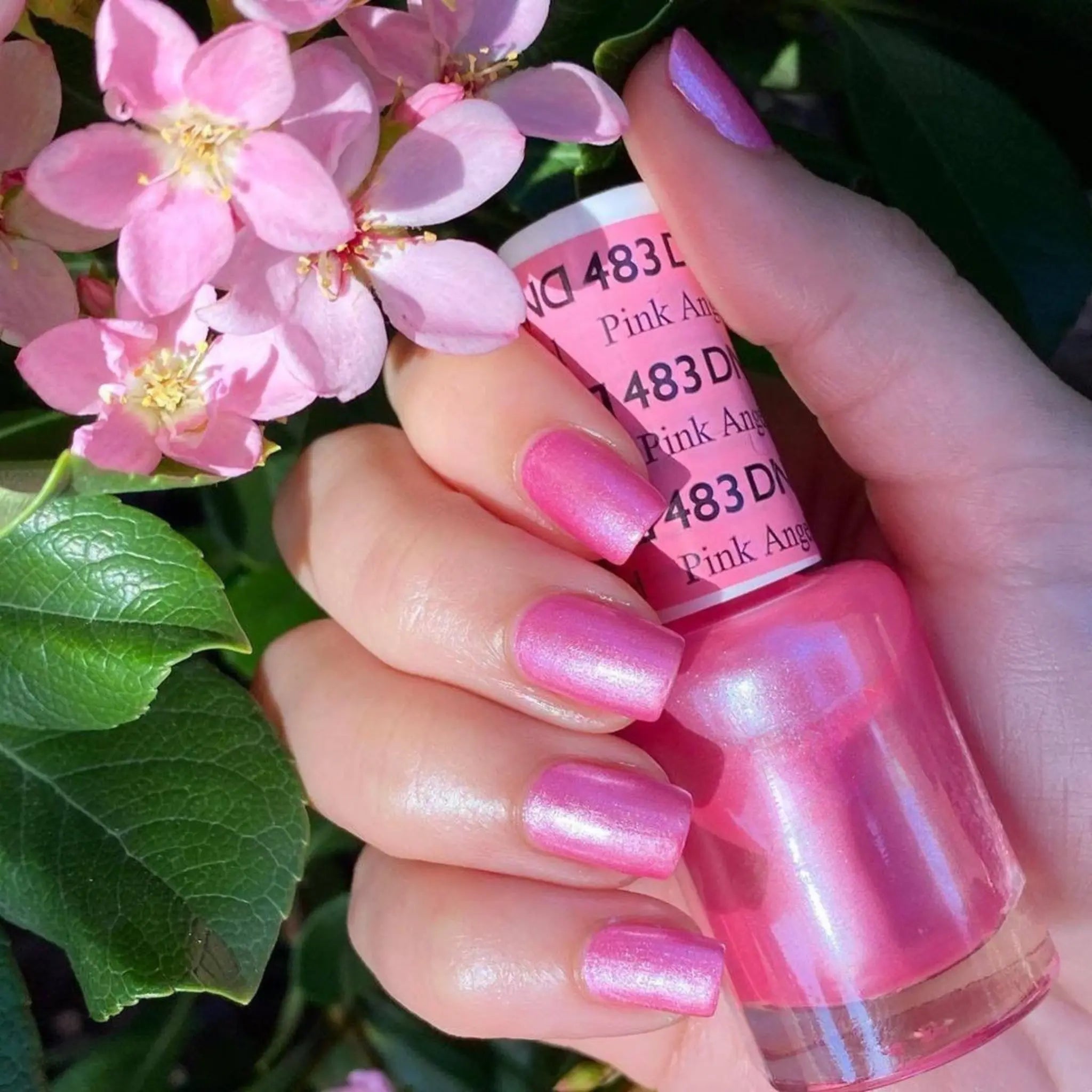 Pink Angel #483