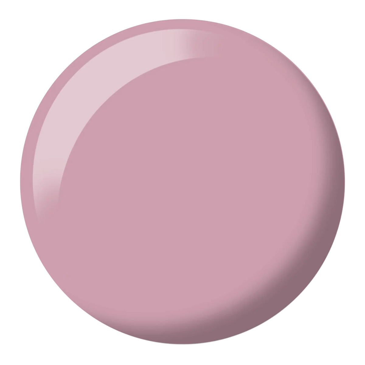 Hazelnut #607