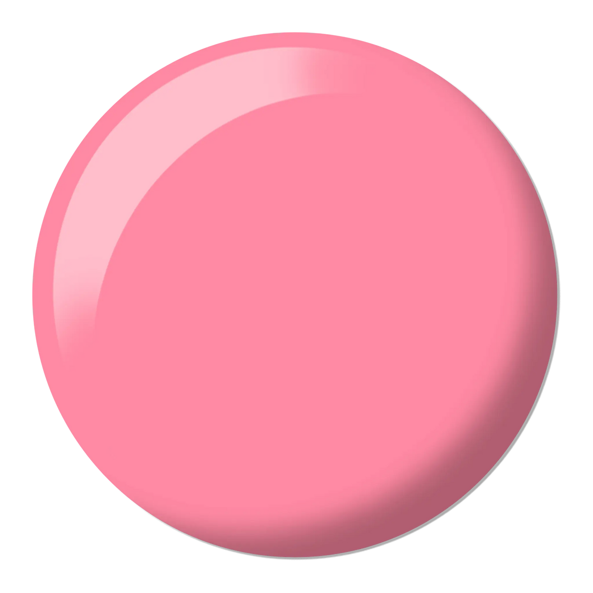 Shy Blush #646